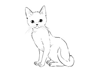 お座りしているかわいい仔猫の線画イラスト