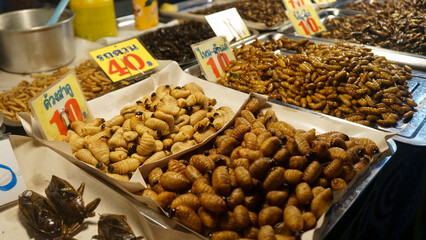 Thai Local Sea Street Food Phuket