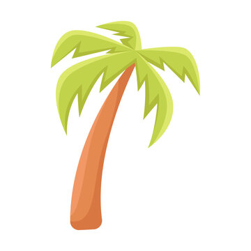 Comic tropical date or coconut palm with broad leaves vector illustration. Cartoon isolated on white background. Summer, vacation concept