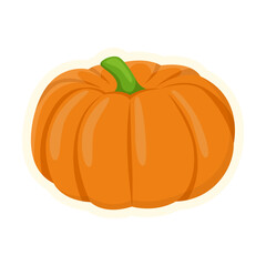Cute big orange pumpkin isolated on white background. Autumn flat vector illustration. Autumn or fall concept