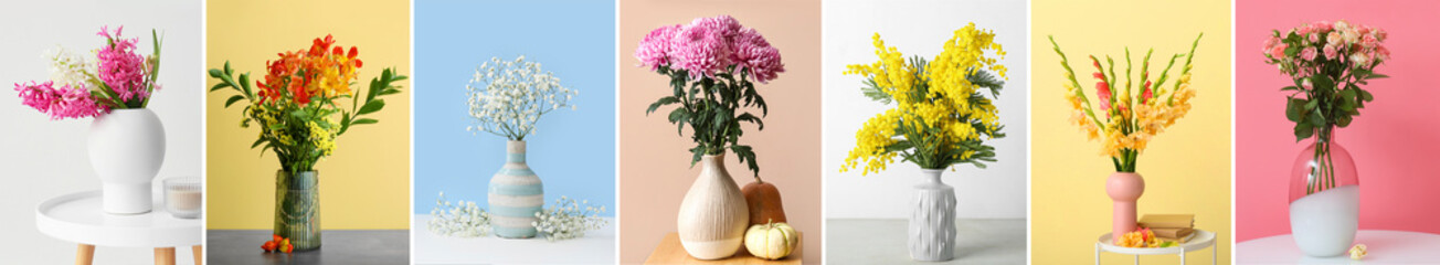 Set of stylish vases with beautiful flowers on table against color wall