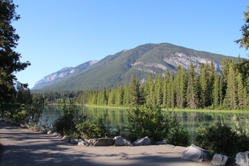 Summer Along Bow River, Banff National Park, Alberta