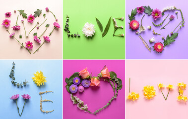 Collage of heart shapes and words LOVE made of beautiful flowers and leaves on color background