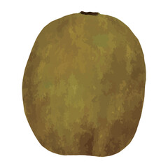 皮付きキウイの水彩風イラスト