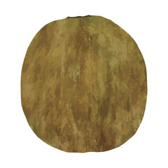 皮付きキウイの水彩風イラスト