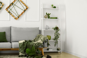 Interior of messy living room with grey sofa, shelving unit and houseplants