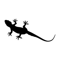 Silhouette of lizard