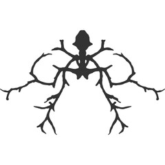 Ornament Vintage Illustration Vector