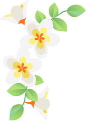 Plumeria flowers border