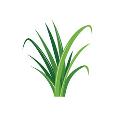 Lawn care service icon, grass icon vector illustration design isolated