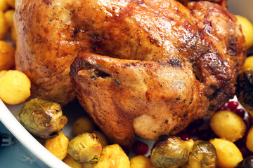 Baking dish with tasty Christmas chicken and vegetables, closeup