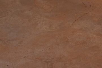 Kati Thanda Lake Eyre, South Australia, Australia. Aerial photography showing animal tracks in the landscape of outback Australia.	
