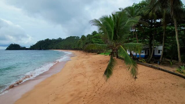 Fly around at a palm tree at a Jale beach at Sao Tome e Principe,Africa
