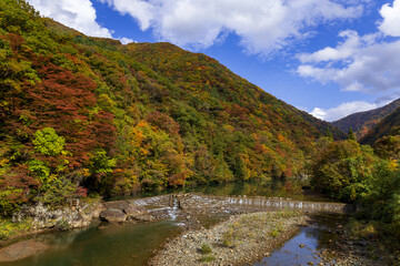 秋田県　抱返り渓谷　秋　紅葉