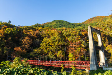 秋田県　抱返り渓谷　秋　紅葉