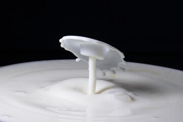 Milk drop collisions causing an umbrella shaped splash