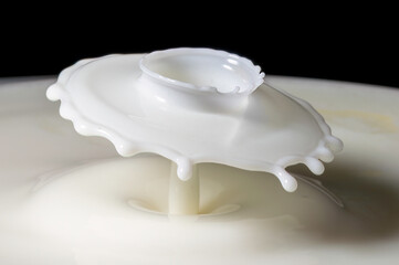 Milk drop collisions causing an umbrella shaped splash