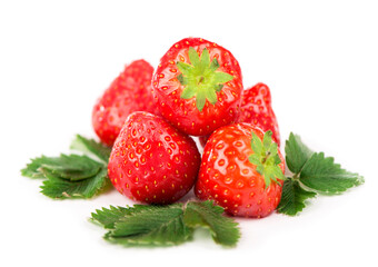Strawberry. Wild juicy strawberries isolated on white background