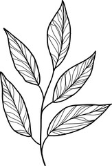 Anemone flower. Linear poppy flower. Hand drawn illustration. This art is perfect for invitation cards, spring and summer decor, greeting cards, posters, scrapbooking, print, etc.