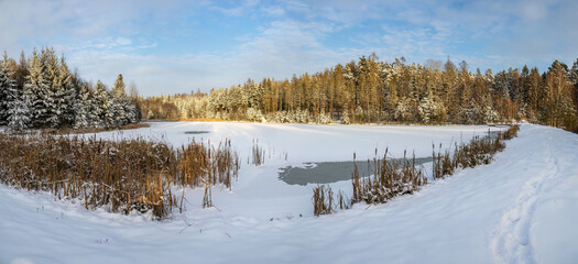 Panorama of winter snowy landscape with frozen pond and forest