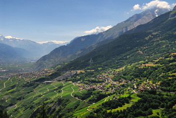 Vineyards on terraces, Rhone Valley, Fendant Wine Region near Sion, Valais canton , Wallis canton,...
