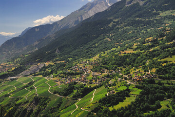 Obraz premium Vineyards on terraces, Rhone Valley, Fendant Wine Region near Sion, Bernese Alps, Valais canton , Wallis canton, Switzerland, Europe