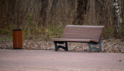 Wooden benches in the park. City park architecture.