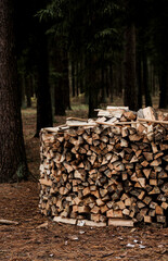 Firewood pile