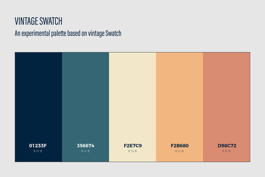 Fashion Trend Vintage Color guide palette 2024-25. An example of a color palette vector. Color palette for fashion designers, business, garments, and paints colors company