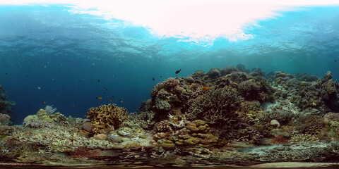 Naklejka na ściany i meble Coral reef underwater with tropical fish. Hard and soft corals, underwater landscape. Tropical underwater sea fish. Philippines. Virtual Reality 360.