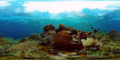 Naklejka na ściany i meble Coral reef underwater with fishes and marine life. Coral reef and tropical fish. Philippines. Virtual Reality 360.