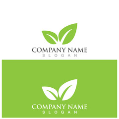 leaf ecology  icon vector illustration template design