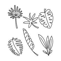 Set of hand drawn outline tropical leaves plants doodle illustration, decorative exotic leaves element.