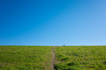東京江戸川の土手・河川敷