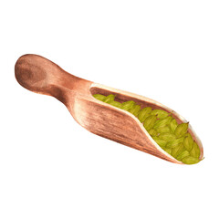 Wooden scoop with cardamom seeds. Cooking clipart. Spices. Condiments. Hand-drawn watercolor illustration