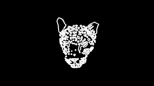 leopard head silhouette icon sign or symbol animation. White Highlight Elements. Doodle loop animation. doodle style on transparent background. Jittery Artistic Motion. scribble seamless loop animatio