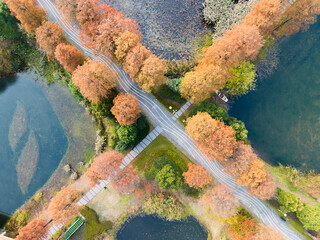 Autumn scenery of Wuhan East Lake Wetland Park Scenic Area

