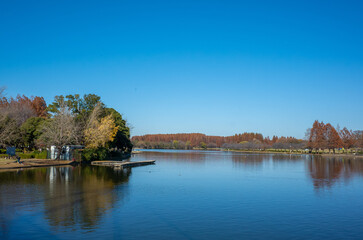 東京都最大級の都立公園「水元公園」メタセコイアの森