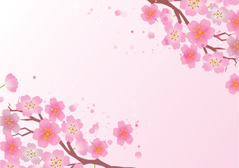 Naklejka na ściany i meble 桜　春　和風　フレーム枠 背景 
