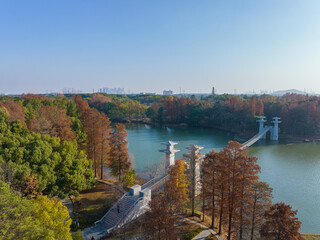 Autumn scenery in Luoyan Island Scenic Area, East Lake, Wuhan