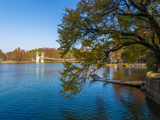 Autumn scenery in Luoyan Island Scenic Area, East Lake, Wuhan