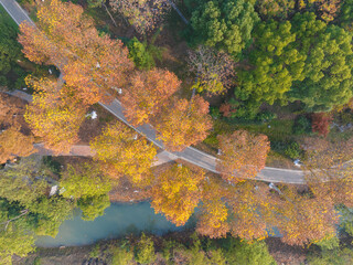 Wuhan Qingshan Park late autumn scenery in Hubei, China