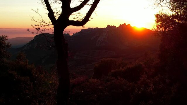 Aerial view of les Dentelles de Montmirail in front of the Mont Ventoux in the french alps at sunset