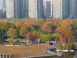 Fototapeta na wymiar Wuhan Yuehu Park late autumn scenery in Hubei, China