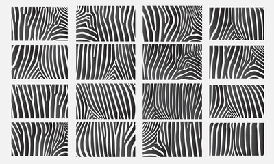 Zebra print texture