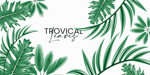 Vector horizontal tropical leaves banners on white background. Exotic botanical design for cosmetics, spa, perfume, health care products, aroma, wedding invitation.