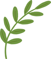 Green leaf branch