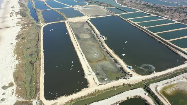 Aerial video of birds over fish ponds