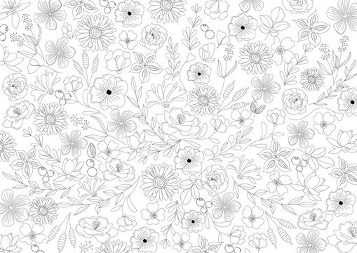 花　シンプルライン、線画、ナチュラル　美しい線画のボタニカル背景素材　Simple Line , Line Art 　Botanical , Flower , Black , Texture , Simple , Beautiful , Natural