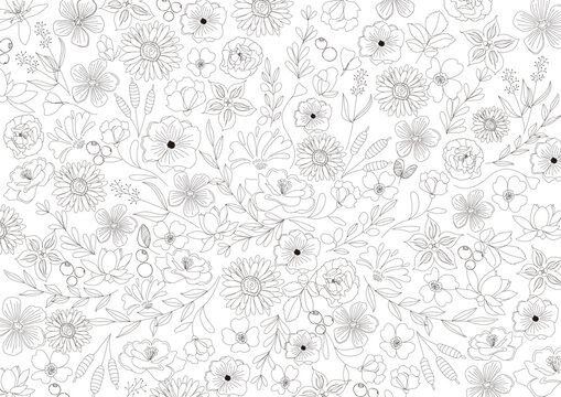 花　シンプルライン、線画、ナチュラル　美しい線画のボタニカル背景素材　Vector　Simple Line , Line Art 　Botanical , Flower , Black , Texture , Simple , Beautiful , Natural